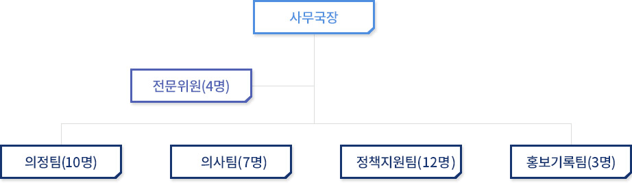 사무국장-전문위원(4명)-의정팀(10명)-의사팀(4명)- 정책지원팀(11명)-홍보기록팀6명)