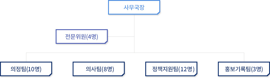사무국장-전문위원(4명)-의정팀(10명)-의사팀(4명)- 정책지원팀(11명)-홍보기록팀6명)